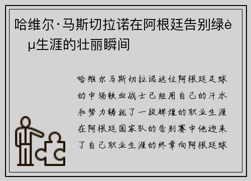 哈维尔·马斯切拉诺在阿根廷告别绿茵生涯的壮丽瞬间