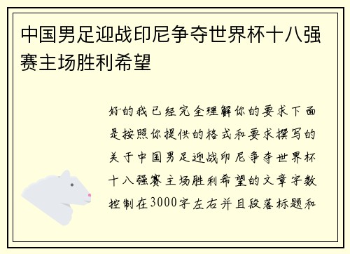 中国男足迎战印尼争夺世界杯十八强赛主场胜利希望